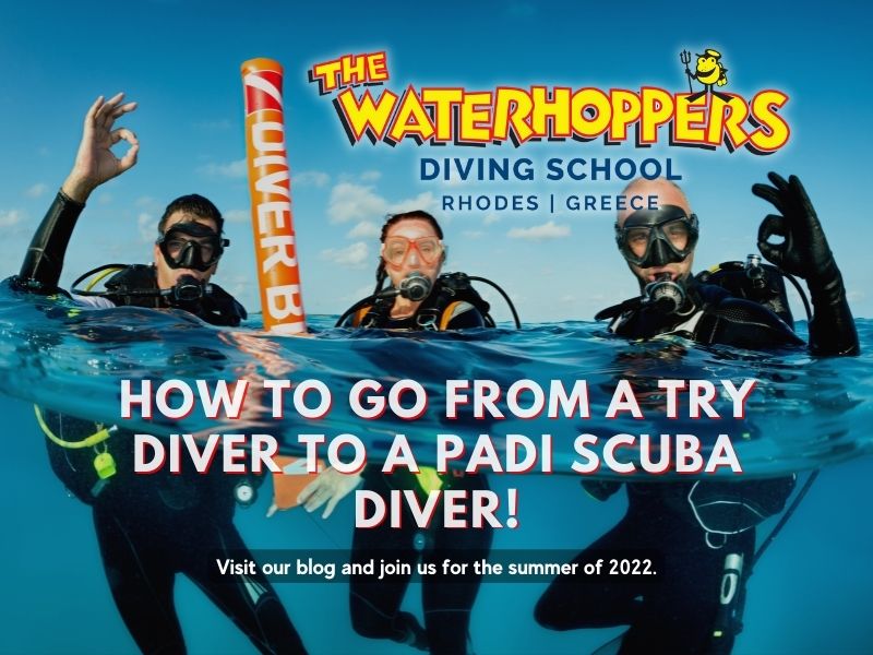 How to go from a Try Diver to a PADI Scuba Diver